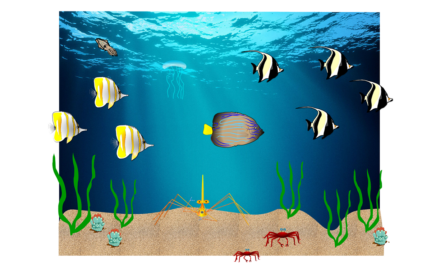 Illustrated Seascape